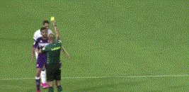 开云集团-【意甲】哲科反超佩剑破门 国米3比1客胜10人紫百合